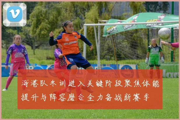 海港队冬训进入关键阶段聚焦体能提升与阵容磨合全力备战新赛季