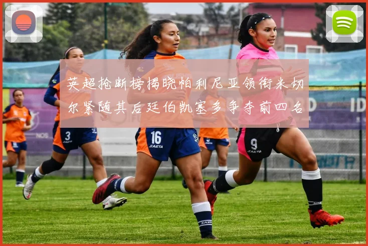 英超抢断榜揭晓帕利尼亚领衔米切尔紧随其后廷伯凯塞多争夺前四名